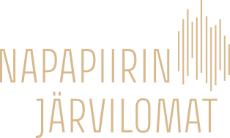 Napapiirin saitti